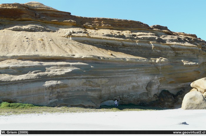 estratos terciarios del sector litoral de Atacama