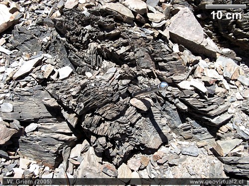 Pliegues en rocas metamórficas - Cordillera de la Costa, Atacama - Chile