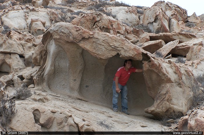 Tafoni en el desierto de Atacama, entre Caldera y Chañarl (geología - sedimentología)