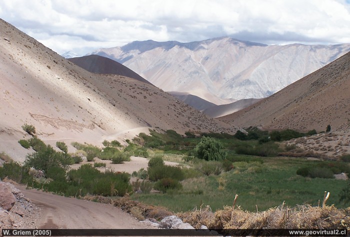 Bereich Pastos Grandes, eine Flussoase in den Chilenischen Anden der Atacama Region