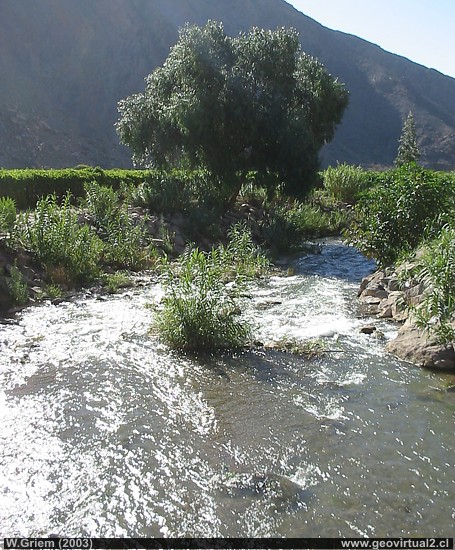 Copiapó river near El Yeso; Atacama Region: Here at this altitude, near Nantoco still has water.