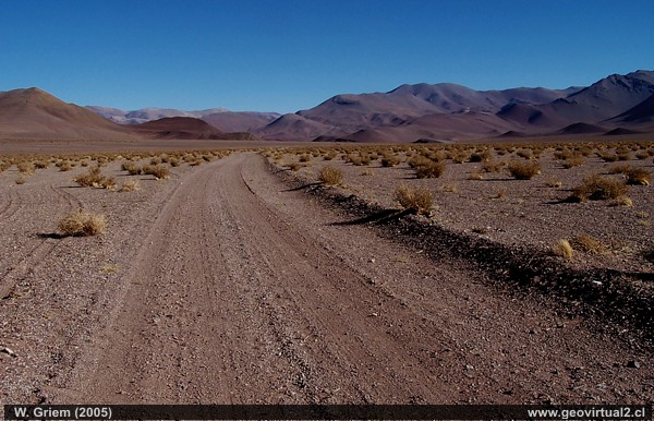 Llano Leoncito, sector Patón en el desierto de Atacama, Chile