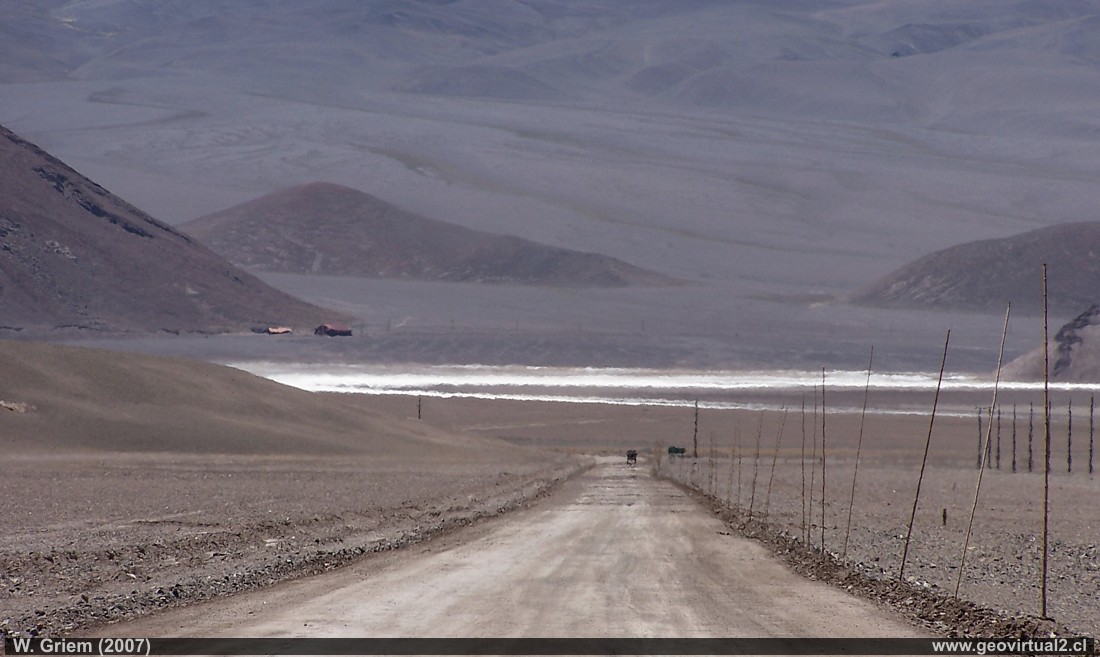 Der Maricunga Salzsee in den Anden der Atacama Region 