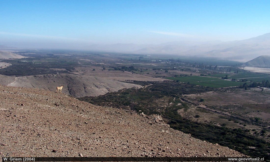 Valle del río Copiapó en la Región de Atacama - Chile