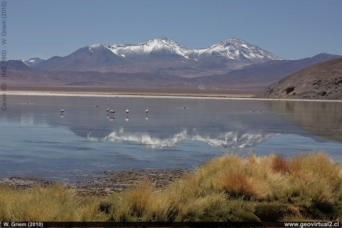 Photo: View of the Santa Rosa Lake to the east with Nevado Tres Cruces in the background (Atacama Region, Chile).