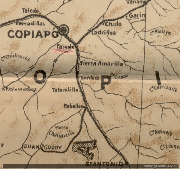 Los Loros de Orrego 1903