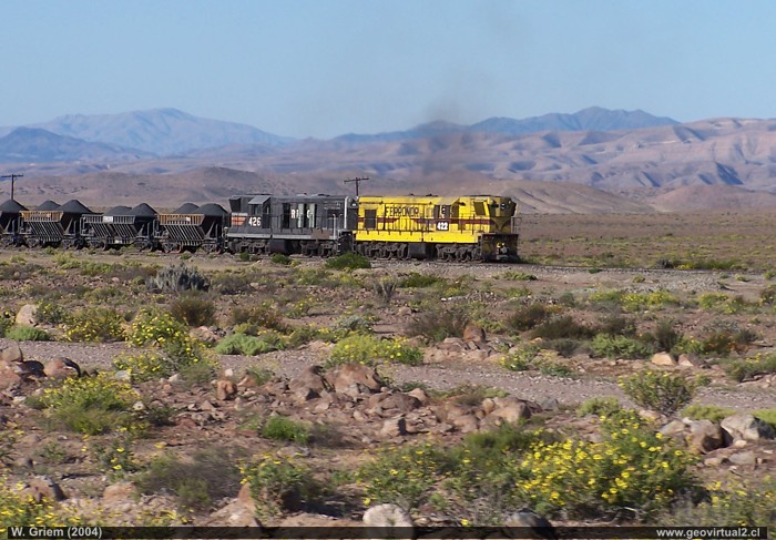 Tren en pleno desierto florido de Atacama, Chile