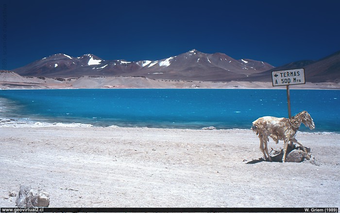Laguna Verde en la cordillera de Atacama, Chile