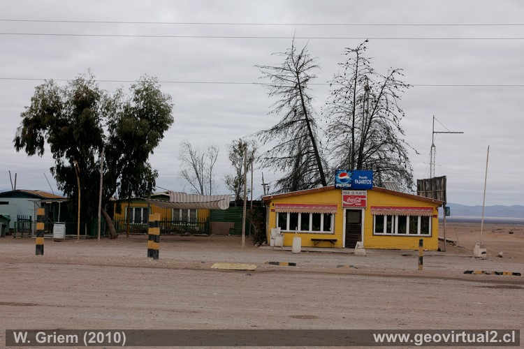 Posada Pajaritos en la Panamericana entre Vallenar y Copiapó, Región Atacama