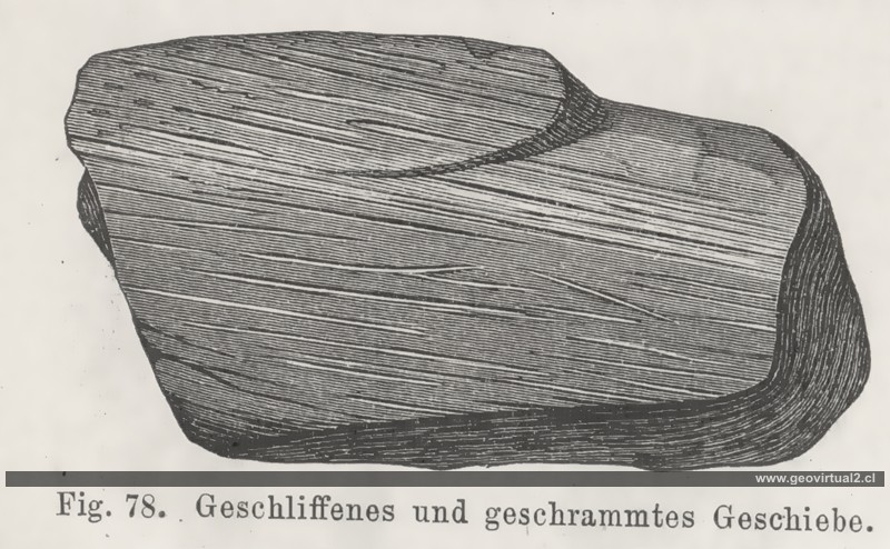 Credner (1891): Geschliffenes und geschrammtes Geschiebe