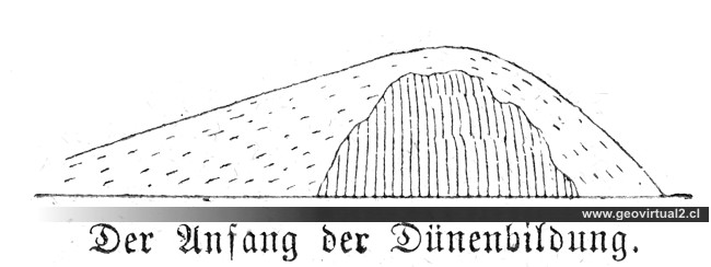Lippert, 1878: Anfang der Dünenbildung