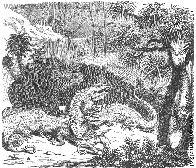 De: Unger cit. en Rudolph Ludwig (1861) - Paisaje del cretácico