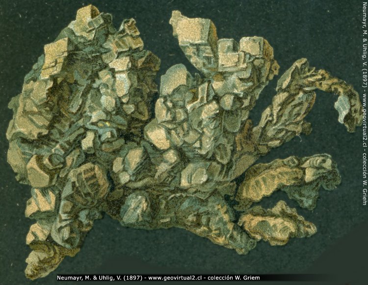 Plata nativa (Neumayr & Uhlig, 1897) - Minerales
