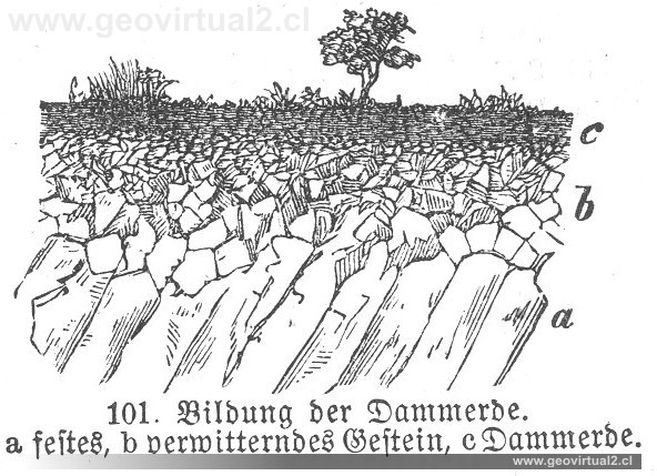 Polack, Fr. (1892): Bildung der Dammerde - Bodenbildung