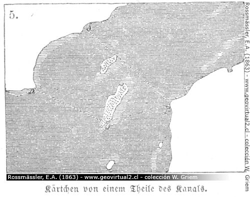 Meereskanal in der Nordsee - Rossmässler, 1863