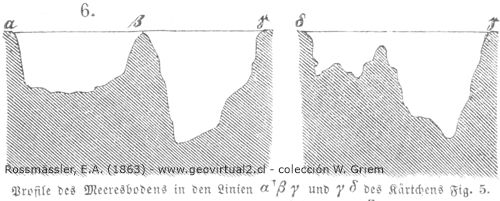 Profile durch die Nordsee von Rossmässler, 1863