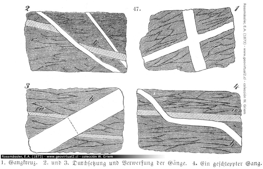 Roßmäßler(1863): Arten der Gangkreuzungen