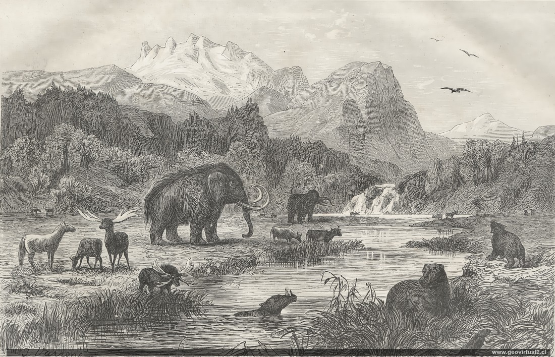Plioceno de Siegmund 1877