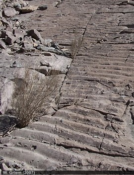 Formación Pabellón en Atacama - Cretácico
