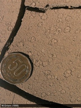Gotas de lluvias en los barros del desierto de Atacama, Chile