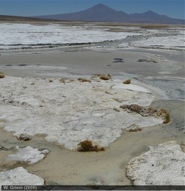 Salar de Pedernales en la Región de Atacama - Chile