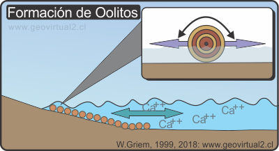 Formación de oolitos
