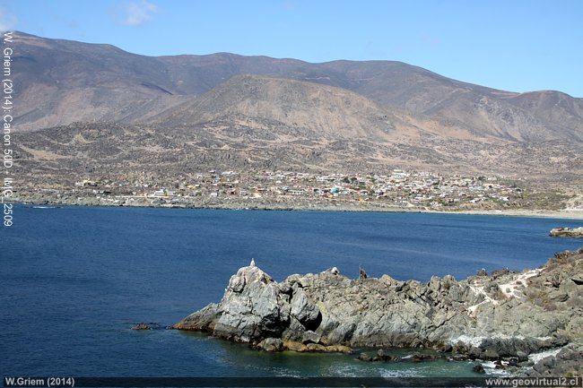 Chungungo en la costa de la Región de Coquimbo, Chile